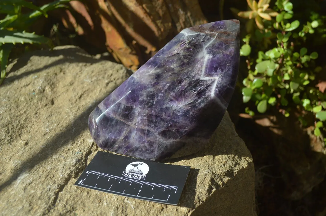 Polished Chevron Amethyst Point x 1 From Zambia