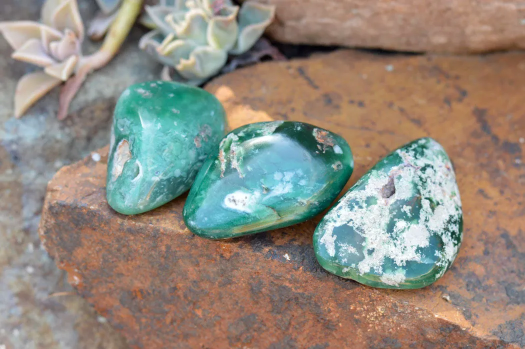 Polished Emerald Mtorolite Galet-Palm Stones x 12 From Mutorashanga, Zimbabwe