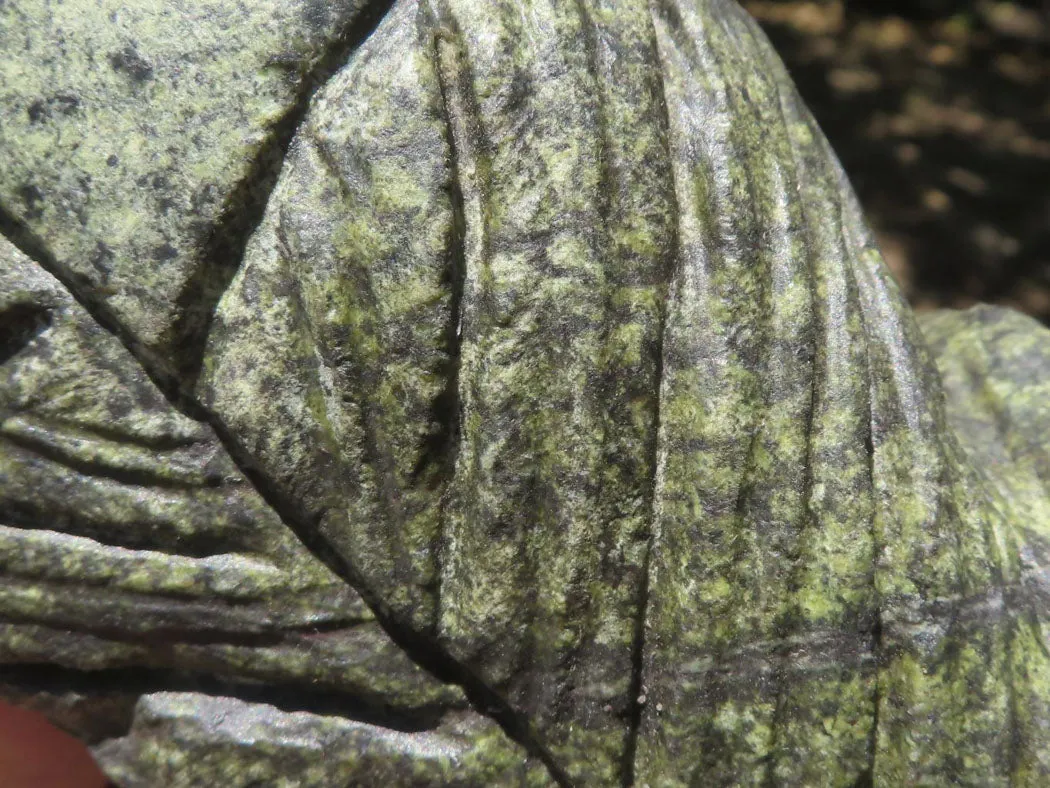 Polished Hand Carved Verdite Owl  x 1 From Zimbabwe