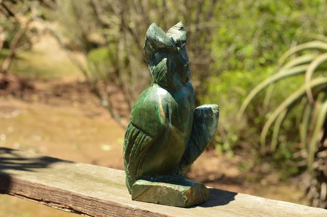 Polished Large Green Verdite Owl Carving  x 1 From Zimbabwe