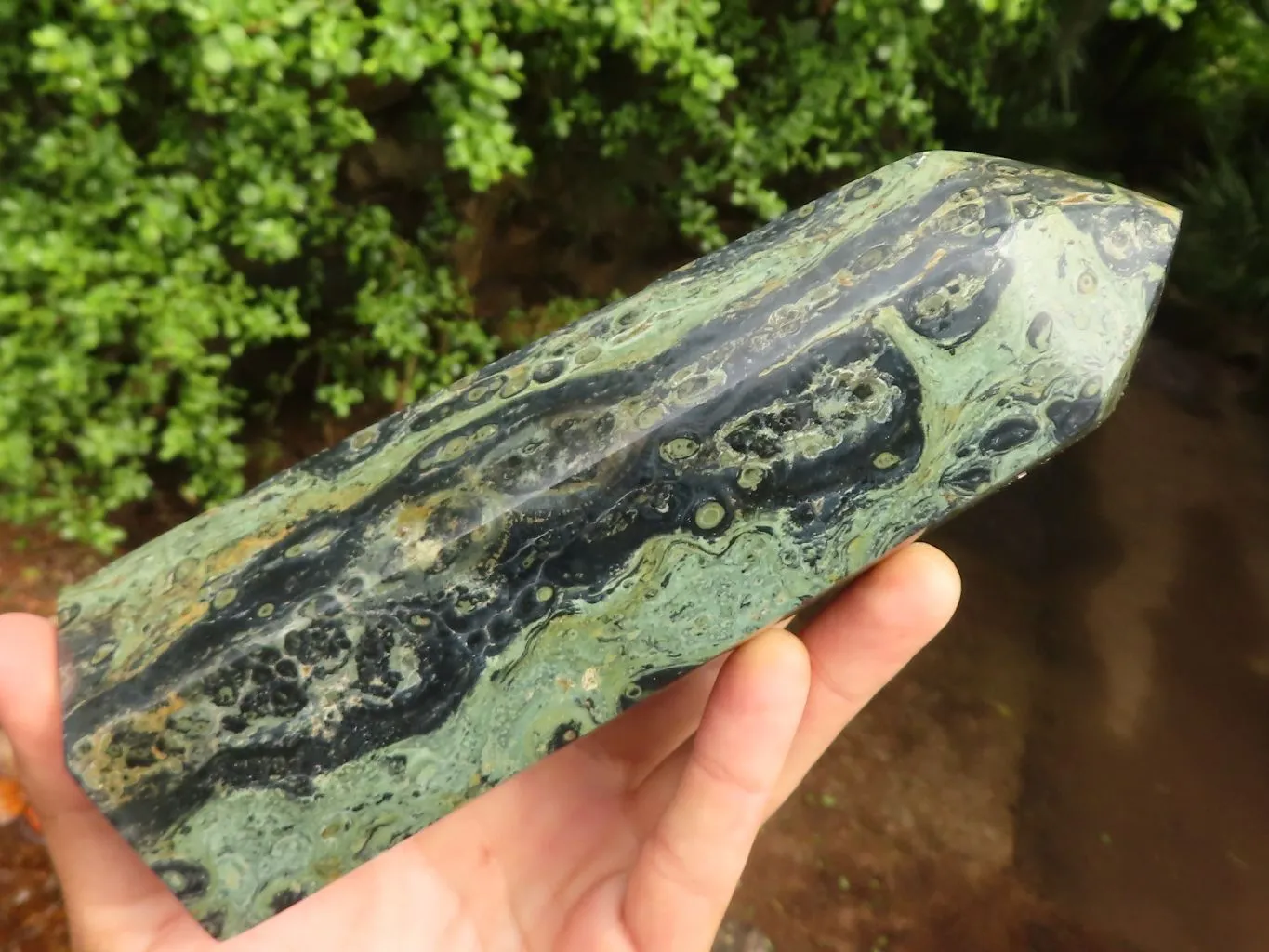 Polished Large Stromatolite / Kambamba Jasper Point x 1 From Madagascar