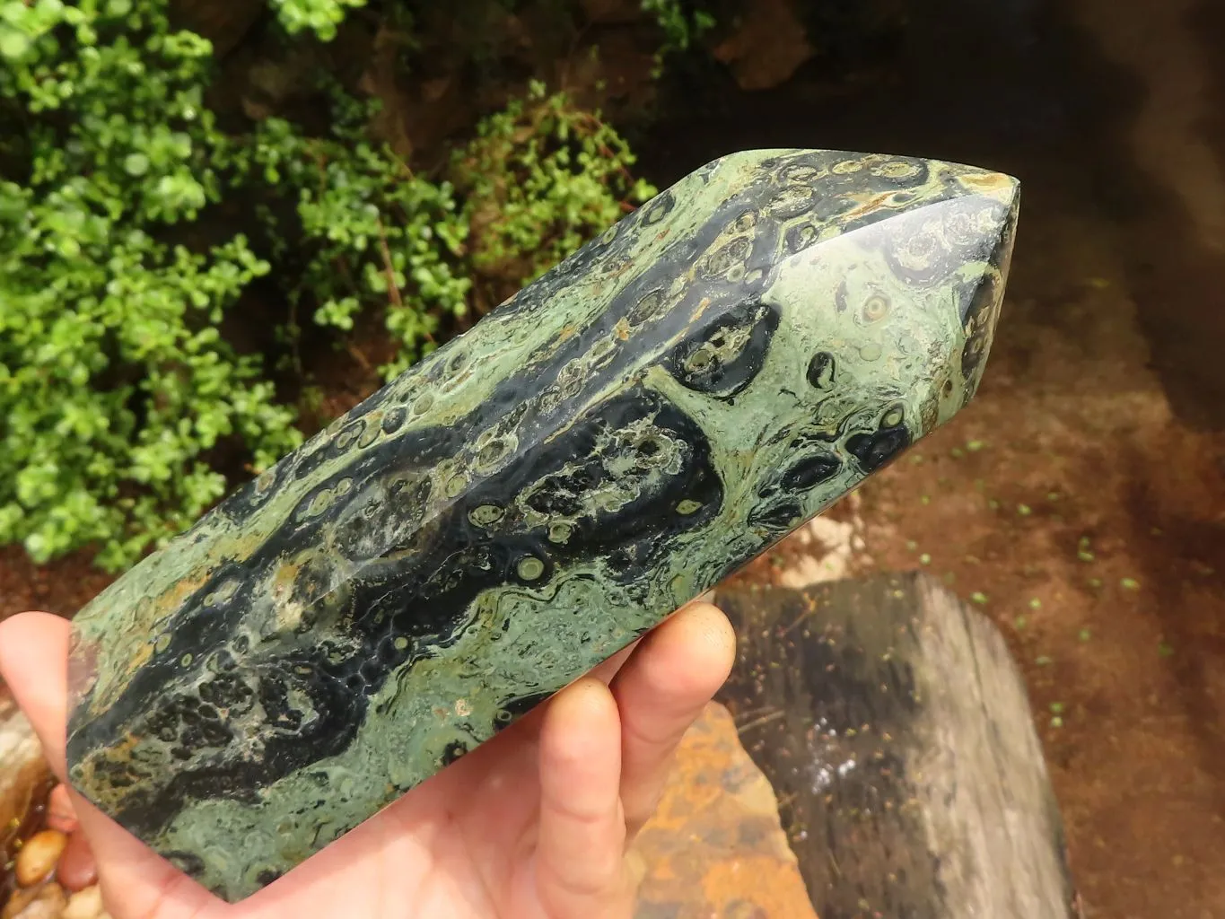 Polished Large Stromatolite / Kambamba Jasper Point x 1 From Madagascar