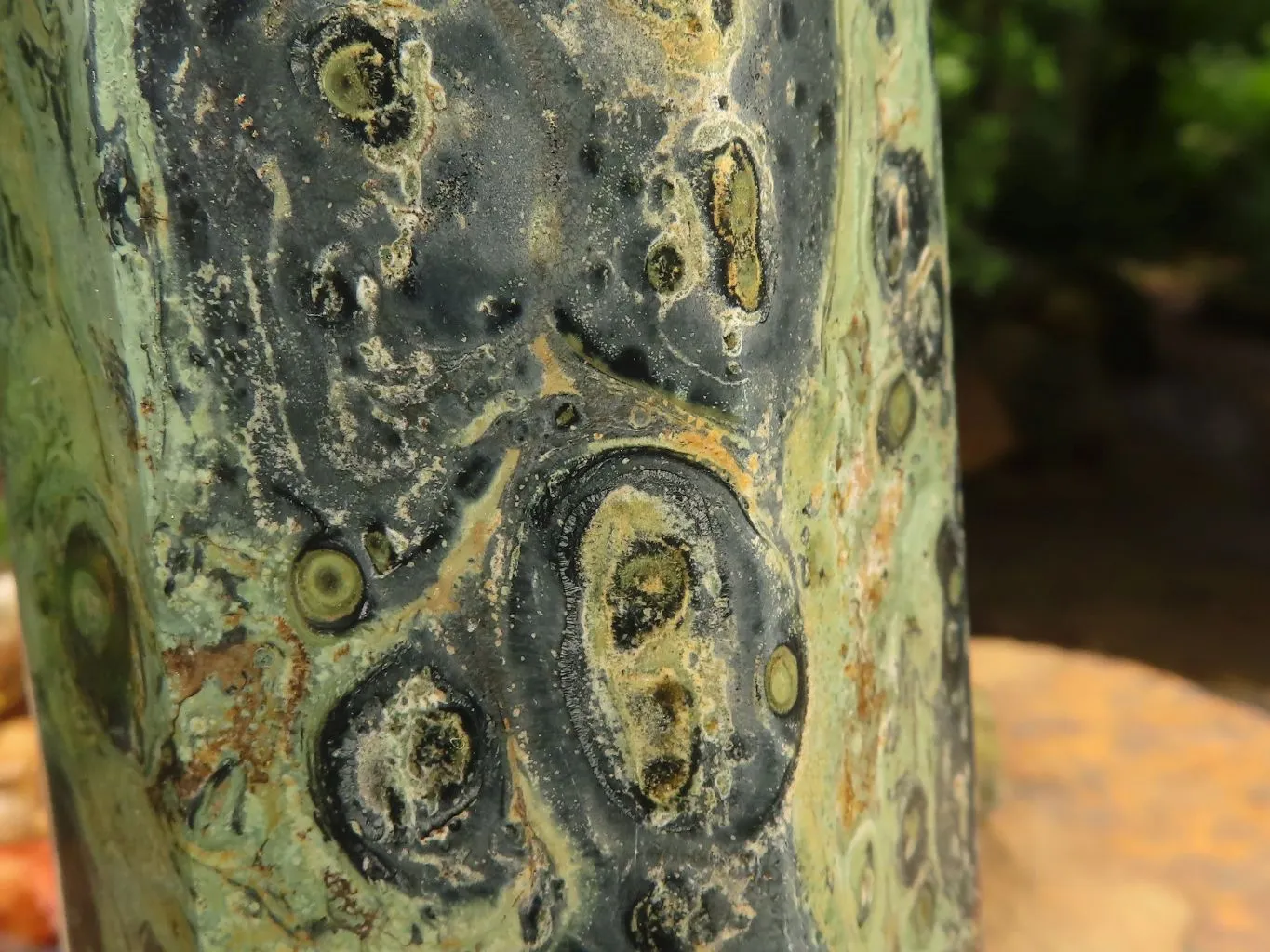 Polished Large Stromatolite / Kambamba Jasper Point x 1 From Madagascar