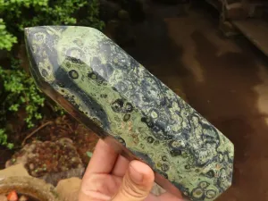 Polished Large Stromatolite / Kambamba Jasper Point x 1 From Madagascar