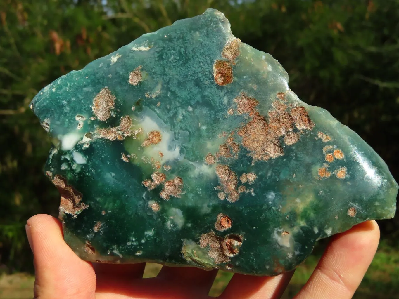 Polished On One Side Emerald Mtorolite Plates x 3 From Mutorashanga, Zimbabwe