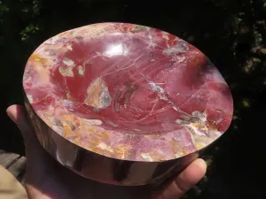 Polished Petrified Red Podocarpus Wood Dish x 1 From Mahajanga, Madagascar