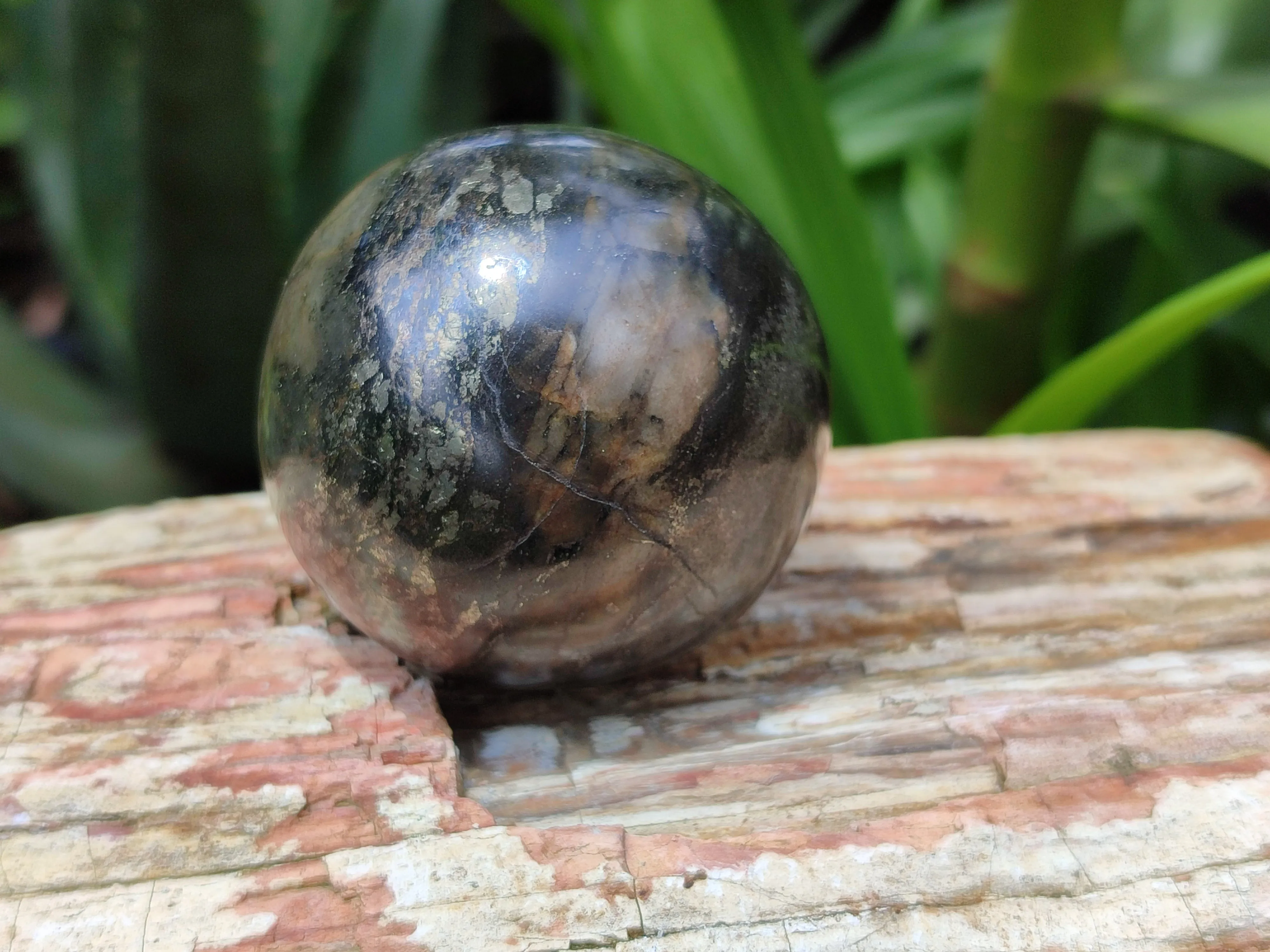 Polished Pharaoh Stone Spheres x 6 From Zimbabwe