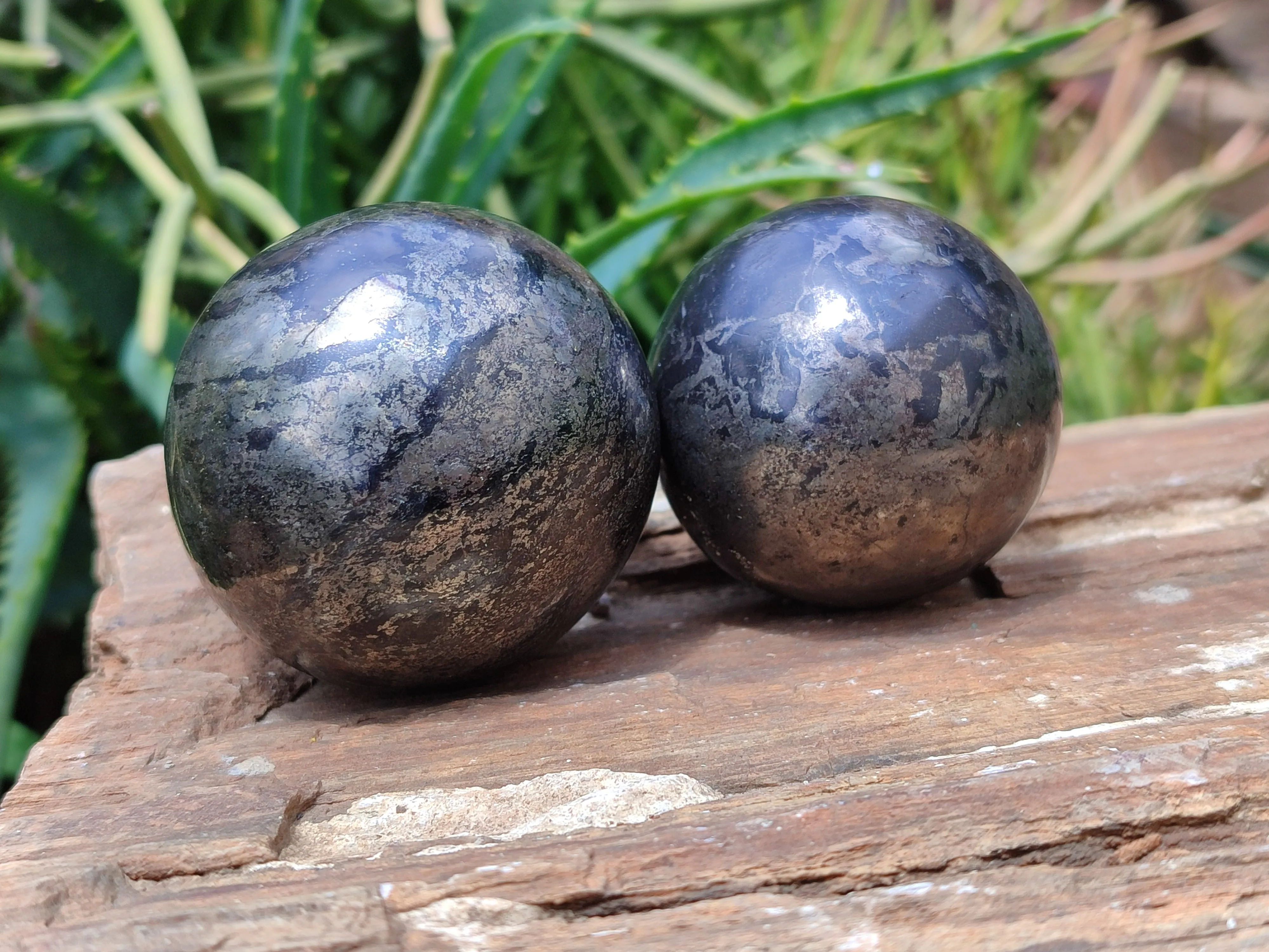 Polished Pharaoh Stone Spheres x 6 From Zimbabwe