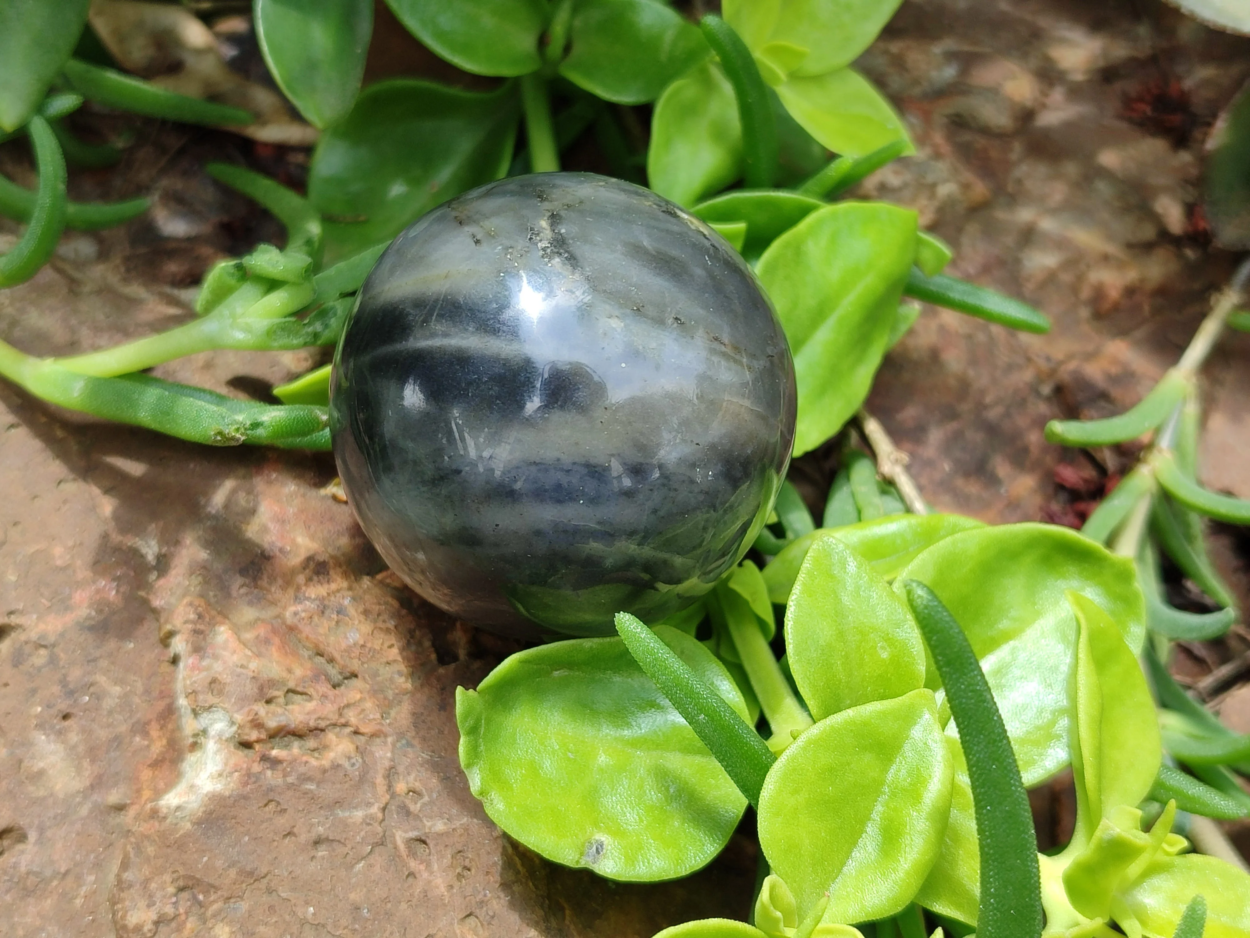 Polished Pharaoh Stone Spheres x 6 From Zimbabwe