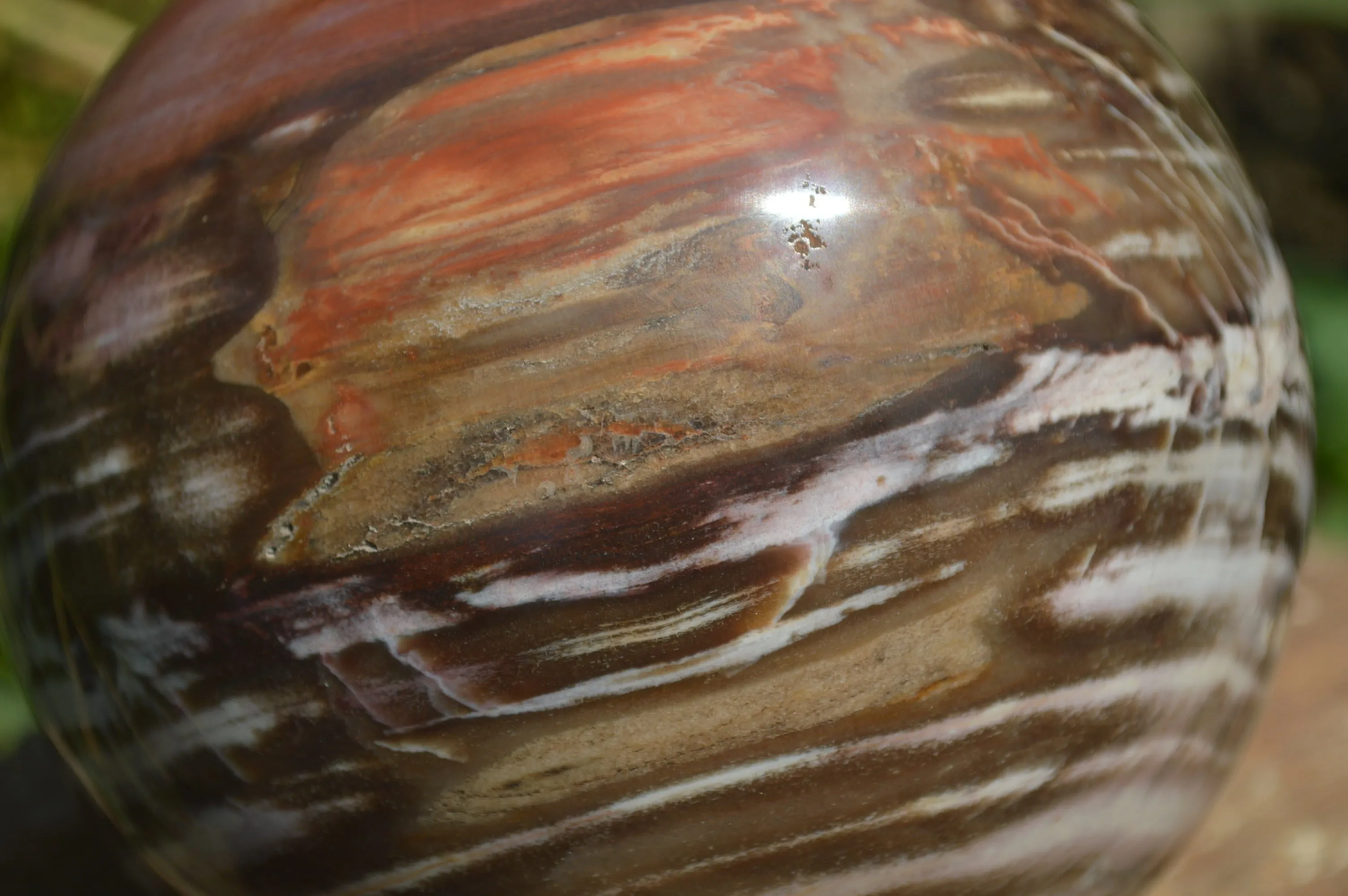 Polished Podocarpus Petrified Wood Sphere x 1 From Mahajanga, Madagascar