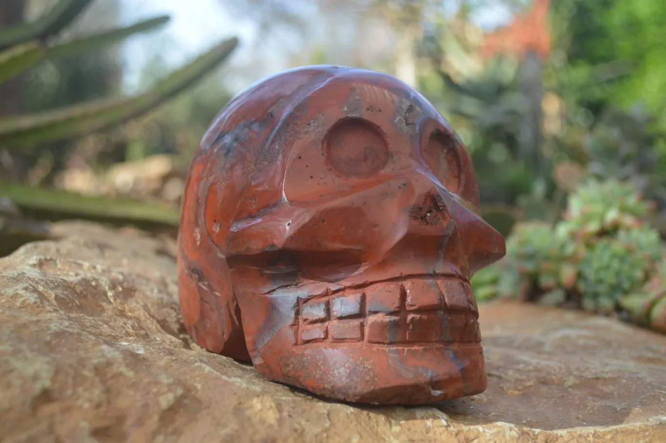 Polished Red Jasper Skull Carving x 1 From Madagascar