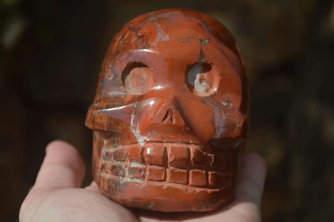 Polished Red Jasper Skull Carving  x 1 From Madagascar