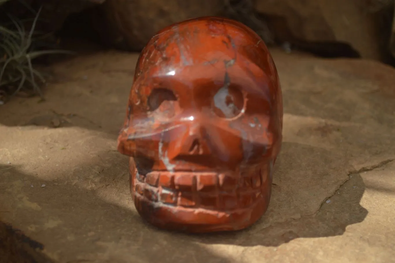 Polished Red Jasper Skull Carving  x 1 From Madagascar