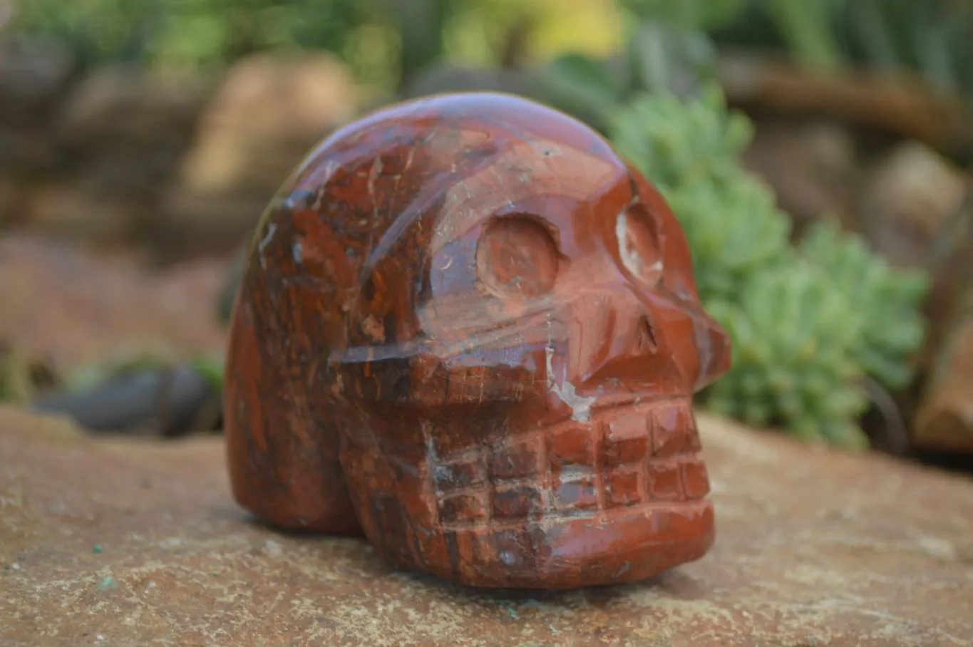 Polished Red Jasper Skull Carving  x 1 From Madagascar