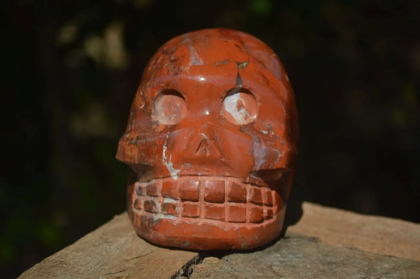 Polished Red Jasper Skull Carving  x 1 From Madagascar