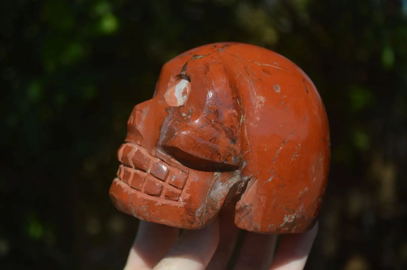 Polished Red Jasper Skull Carving  x 1 From Madagascar