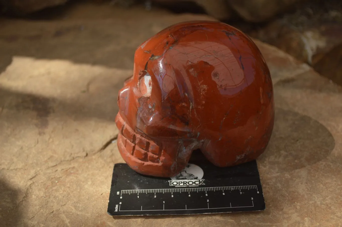 Polished Red Jasper Skull Carving  x 1 From Madagascar