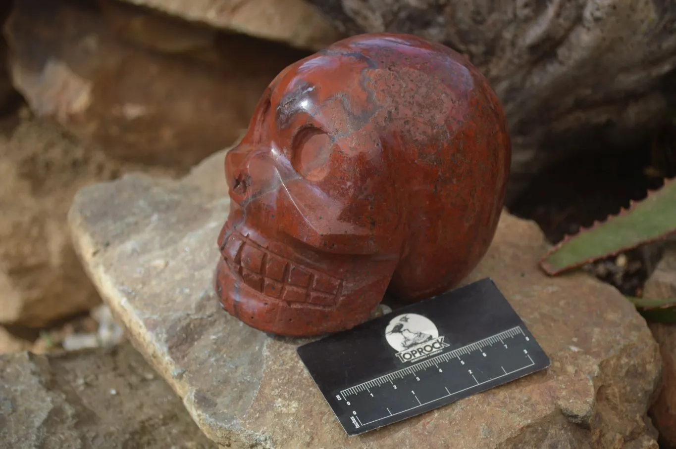 Polished Red Jasper Skull Carving x 1 From Madagascar