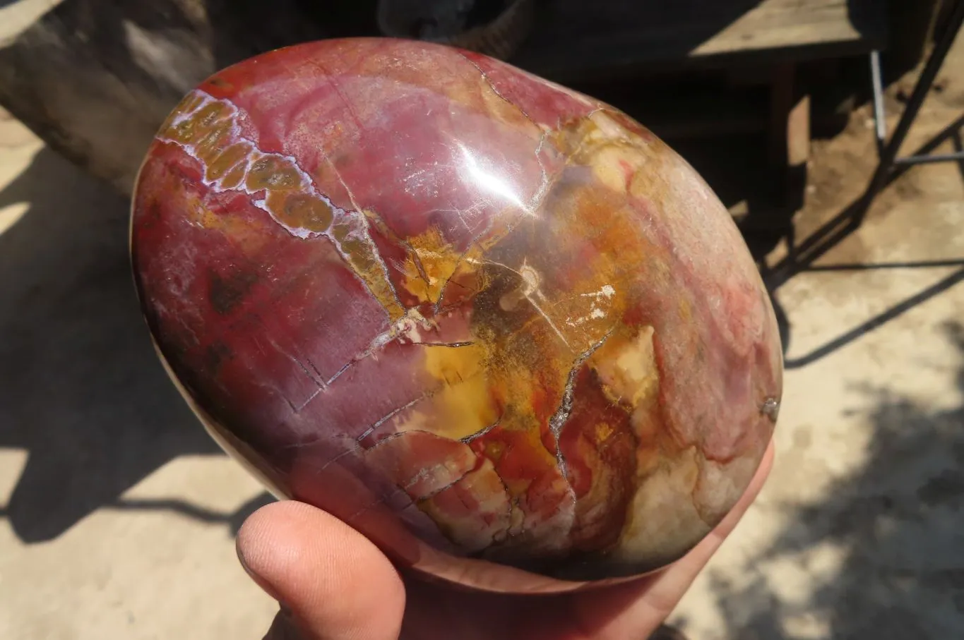 Polished Red Podocarpus Petrified Wood Standing Free Form x 1 From Mahajanga, Madagascar