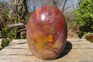 Polished Red Podocarpus Petrified Wood Standing Free Form x 1 From Mahajanga, Madagascar