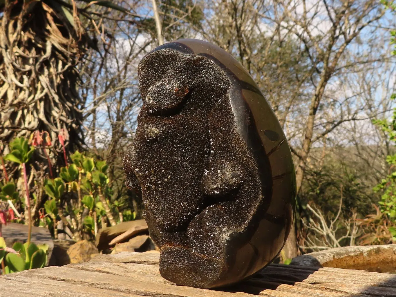 Polished Septerye Sauvage "Dragons" Egg Geode x 1 From Madagascar