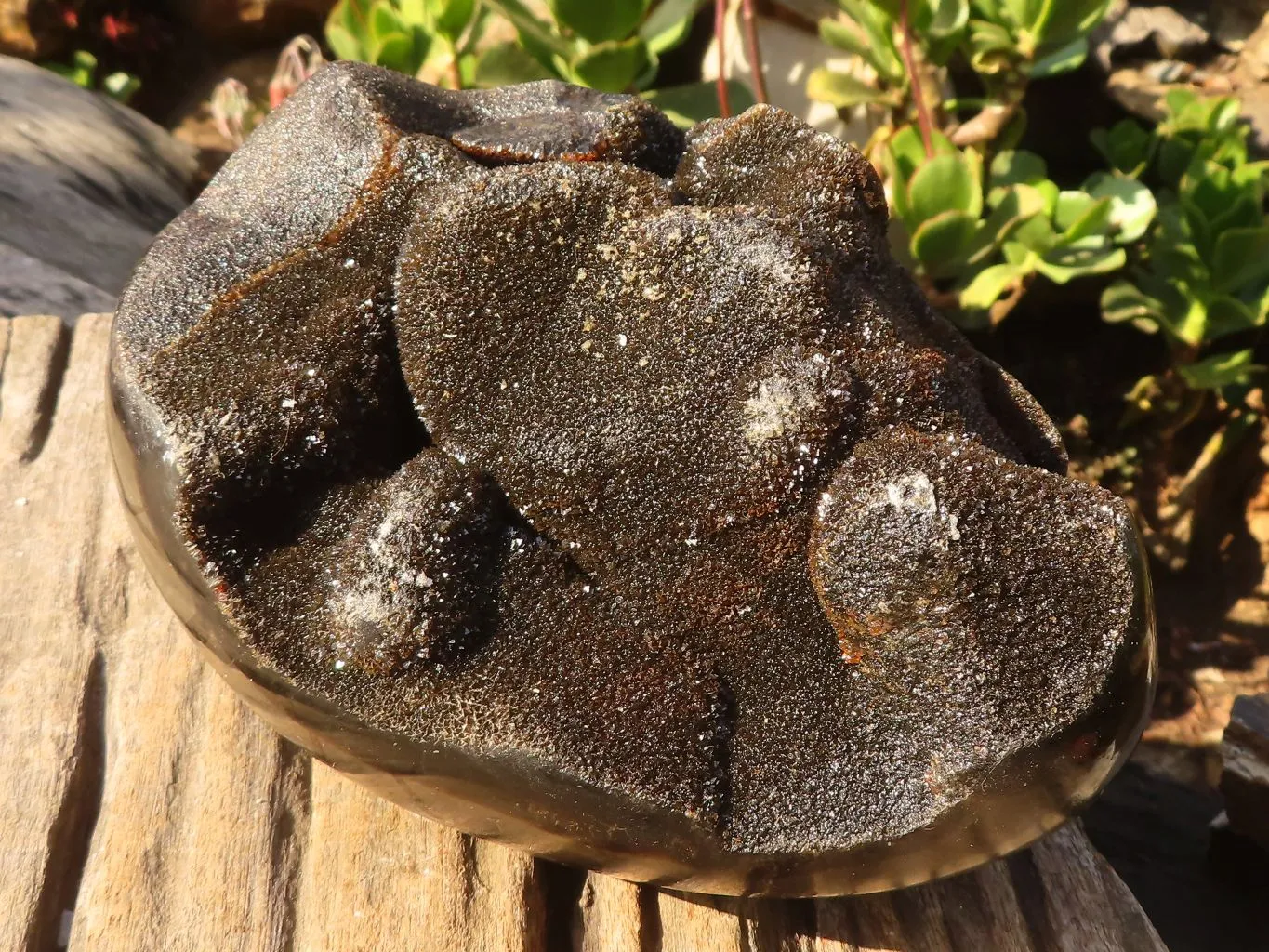 Polished Septerye Sauvage "Dragons" Egg Geode x 1 From Madagascar