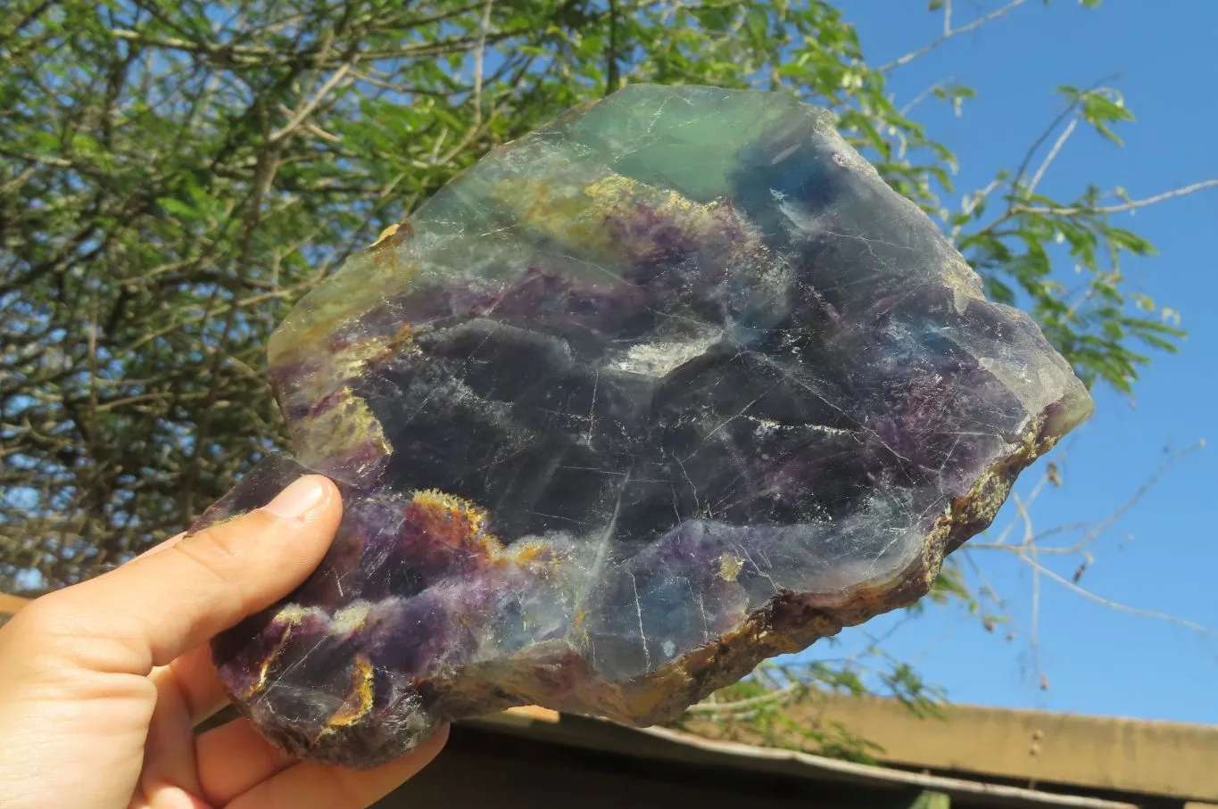 Polished Watermelon Fluorite Slice x 1 From Namibia