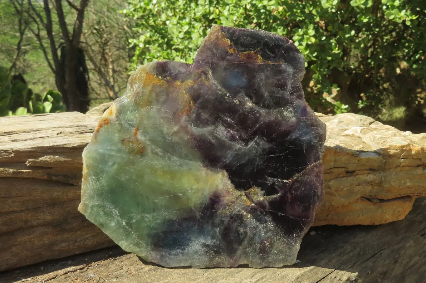 Polished Watermelon Fluorite Slice x 1 From Namibia