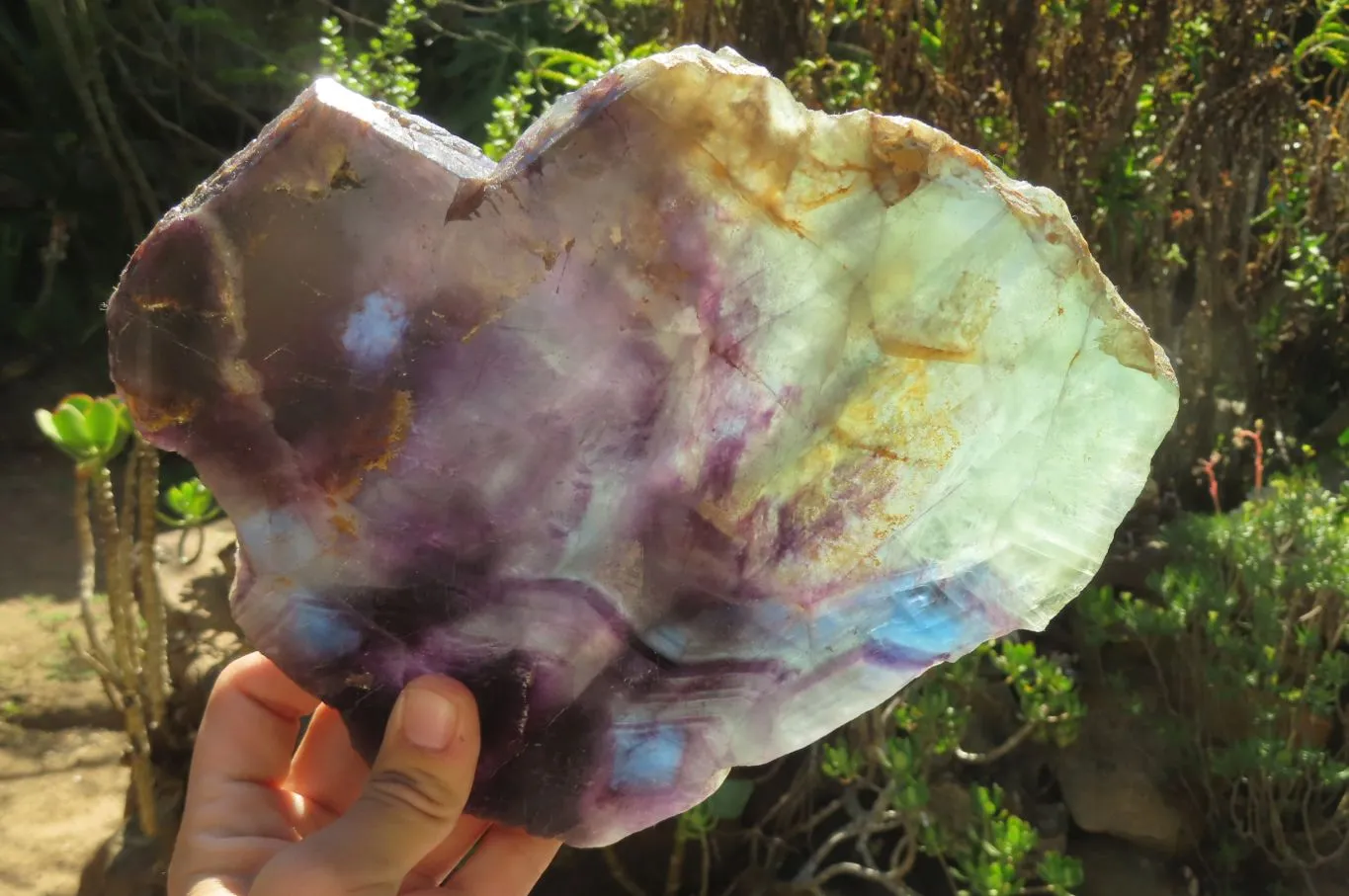 Polished Watermelon Fluorite Slice x 1 From Namibia