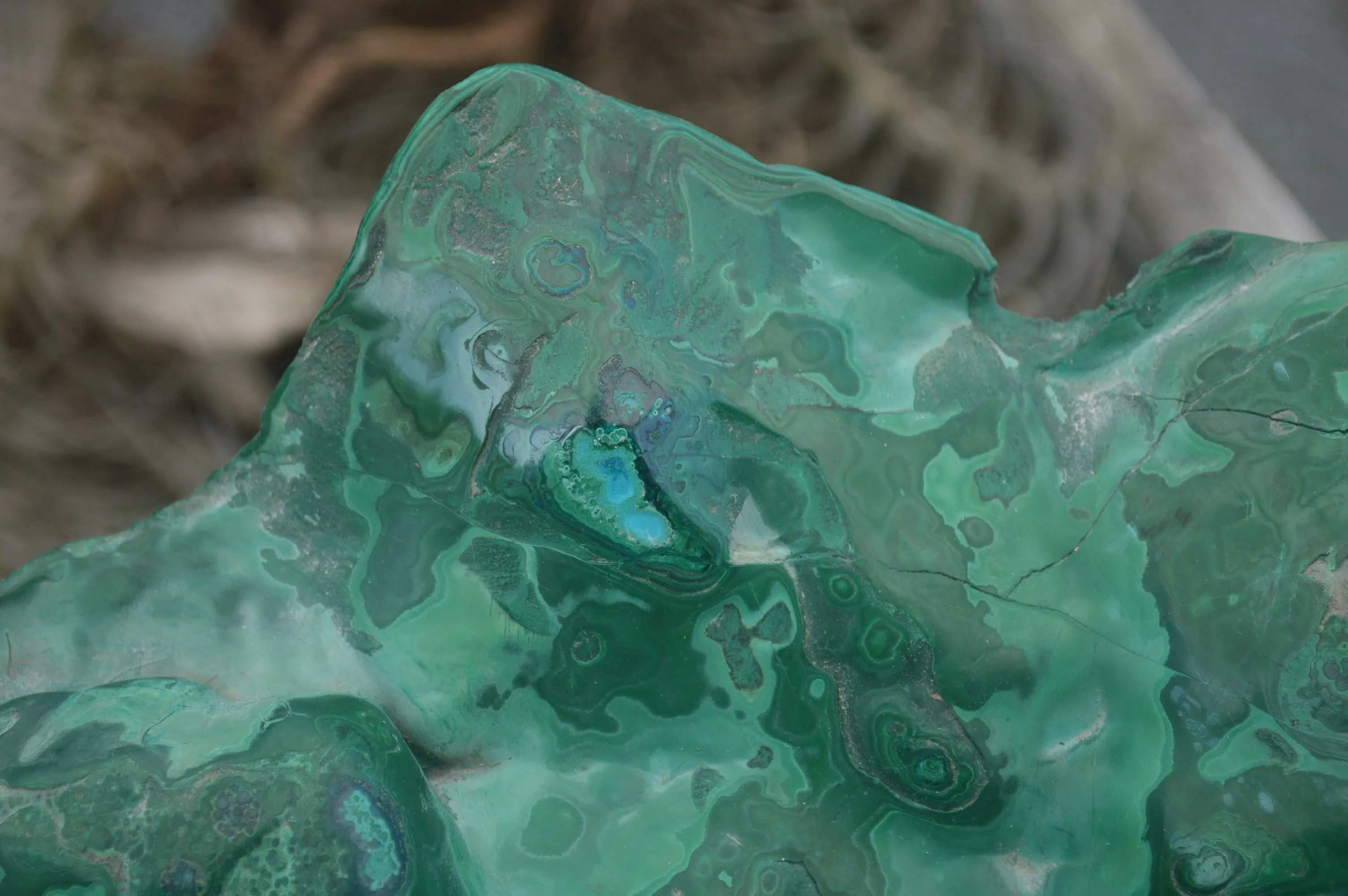 Polished XXL Malacholla (Chrysocolla & Malachite) Standing Display Piece  x 1 From Congo