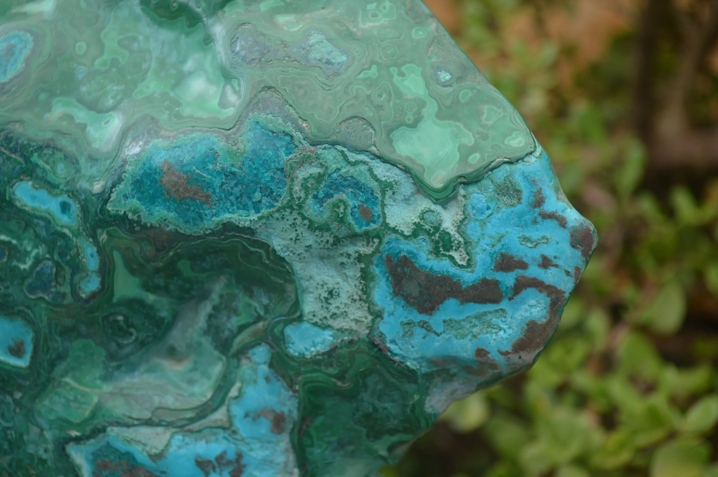 Polished XXL Malacholla (Chrysocolla & Malachite) Standing Display Piece  x 1 From Congo