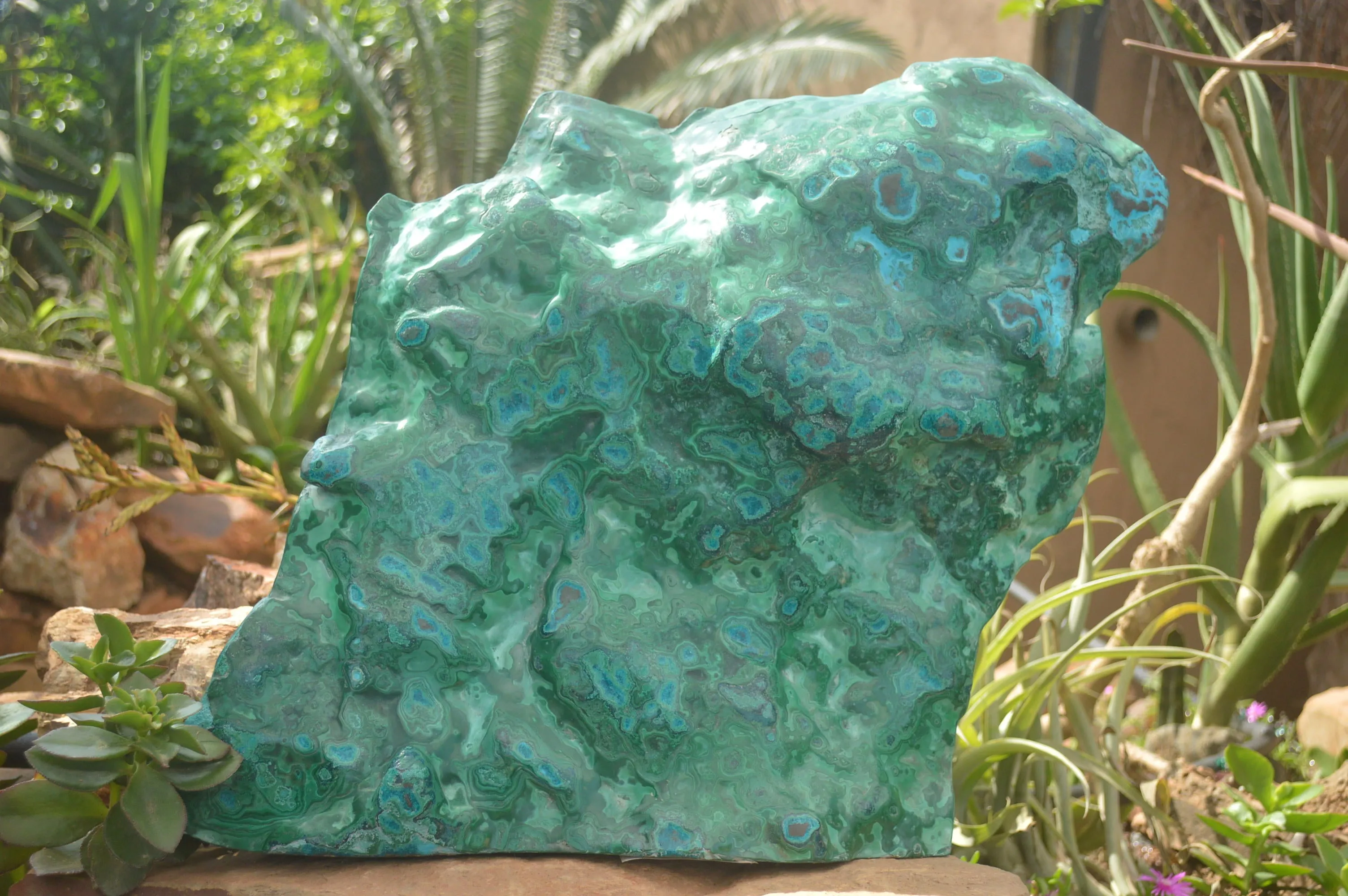 Polished XXL Malacholla (Chrysocolla & Malachite) Standing Display Piece  x 1 From Congo