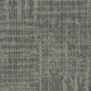 Shaw Carpet Tile Raw Beauty Luminous