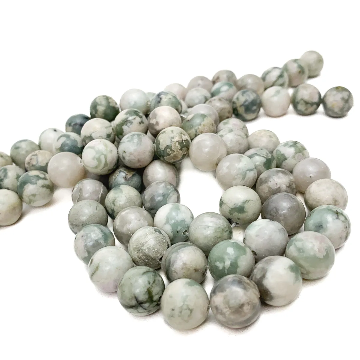 Tree Agate 12mm Smooth Rounds Bead Strand