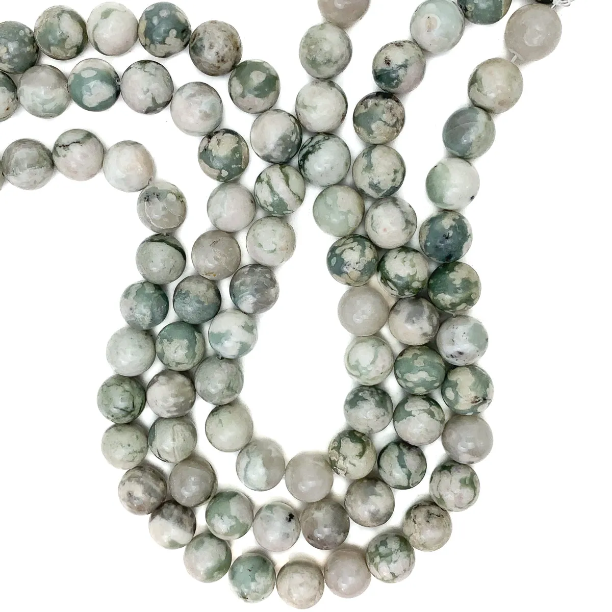 Tree Agate 12mm Smooth Rounds Bead Strand