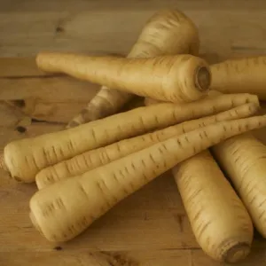 Turga Parsnip - ORGANIC - Heirloom Vegetable - 200 Seeds