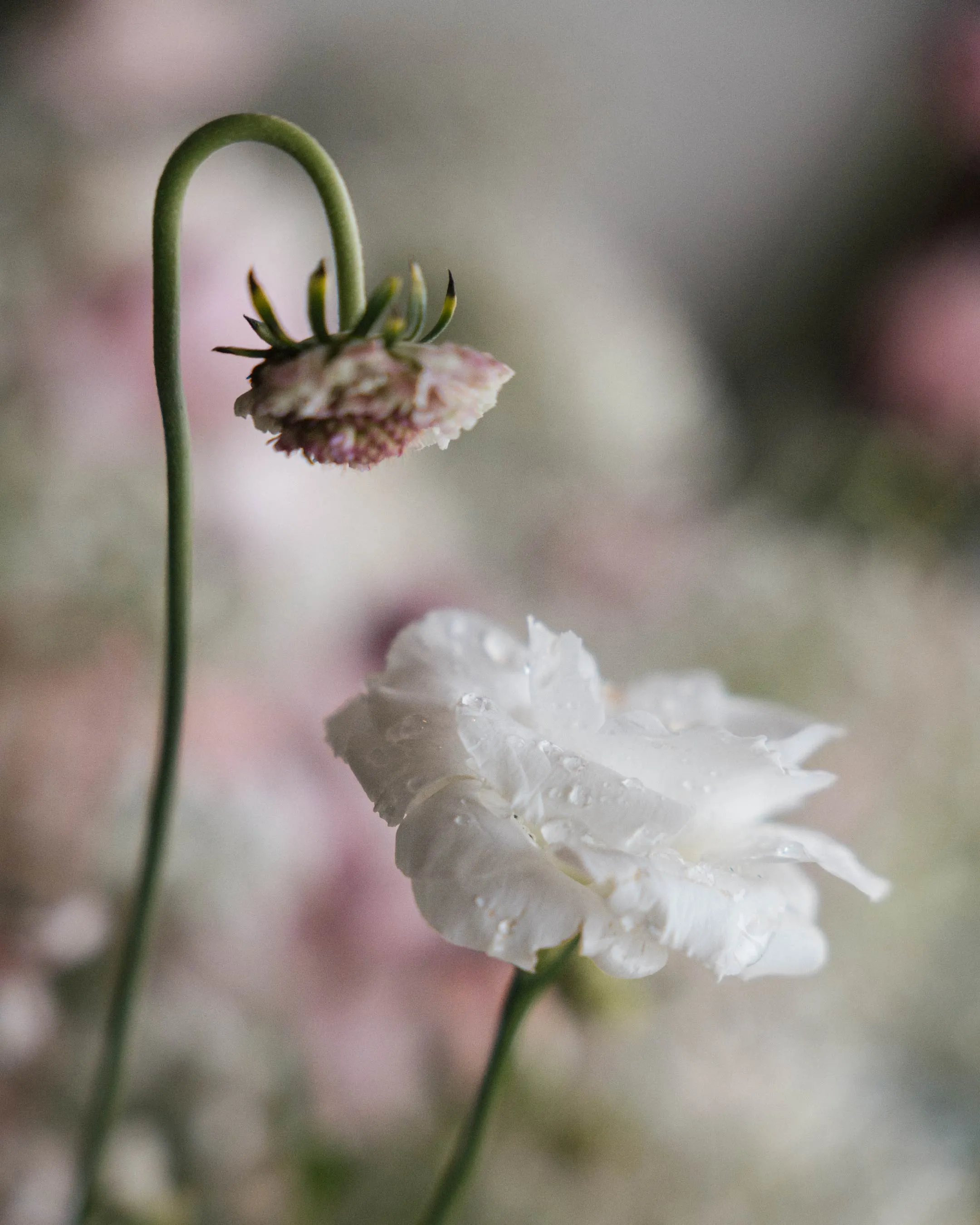 WORKSHOP: CAPTIVATING UNIQUE FLORAL ARRANGEMENTS