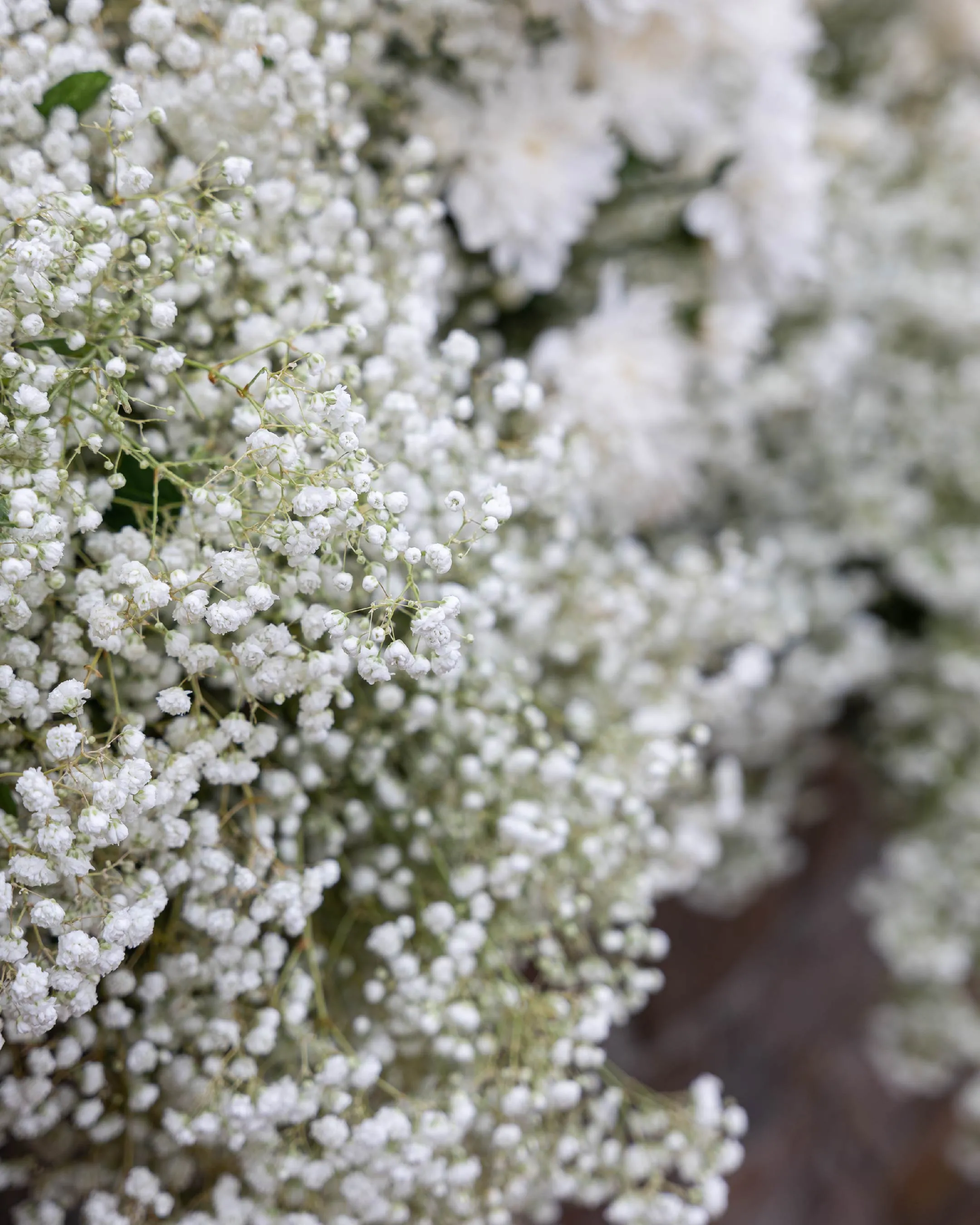 WORKSHOP: CAPTIVATING UNIQUE FLORAL ARRANGEMENTS